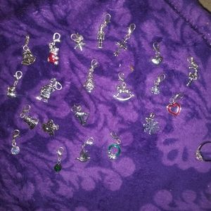 Charm bracelet charms